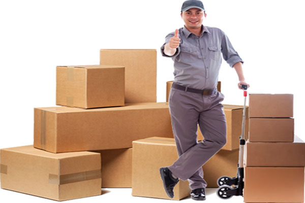 packers and movers Noida, movers and packers Noida