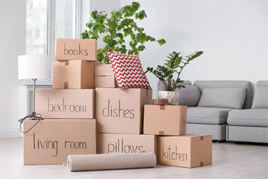 packers and movers Noida, movers and packers Noida